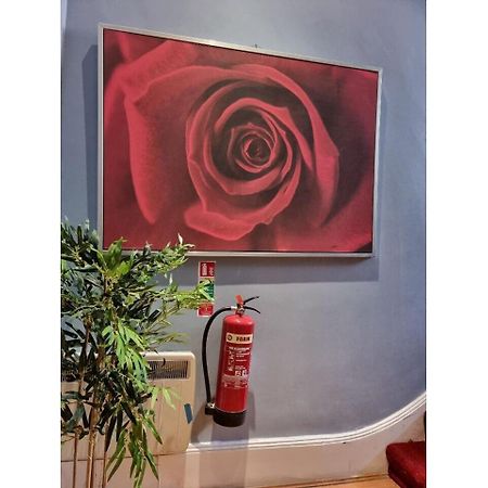 F301-Awesome 3Rd Flr Studio Fits 1 Near Hyde Park Londres Extérieur photo