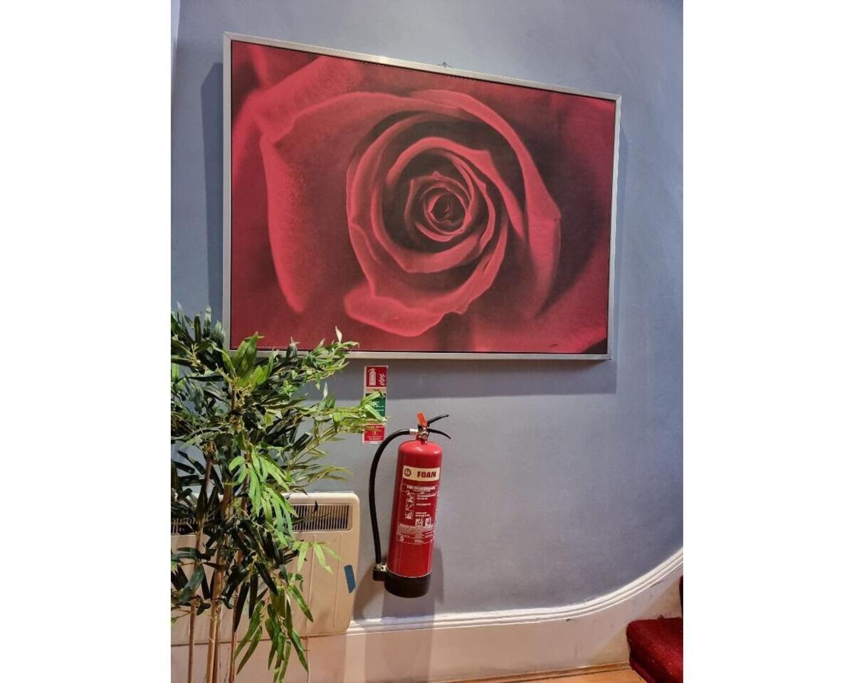 F301-Awesome 3Rd Flr Studio Fits 1 Near Hyde Park Londres Extérieur photo